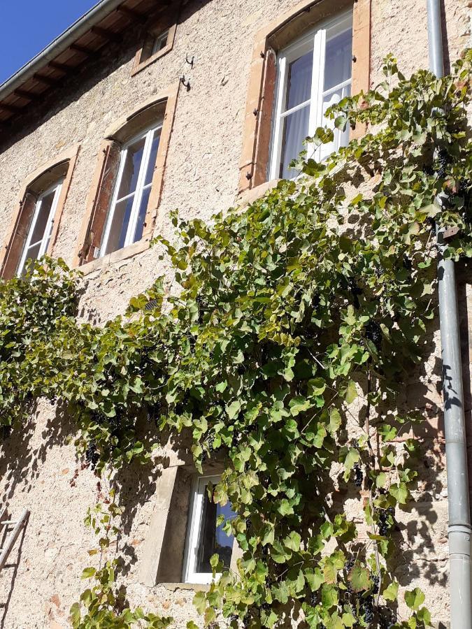 Appartamento La Grange Aux Oiseaux Arnaville Esterno foto